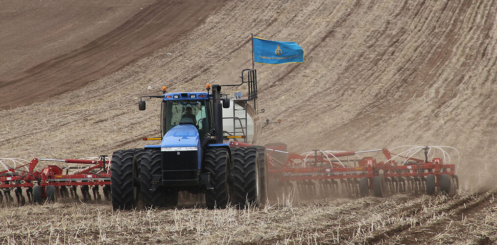 Усалгаатай тариалангийн талбайг 80.0 мянган га-д хүргэнэ