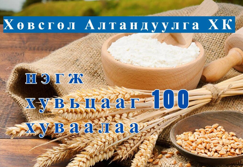 "Хөвсгөл Алтан Дуулга" ХК нэгж хувьцааг 100 хуваалаа