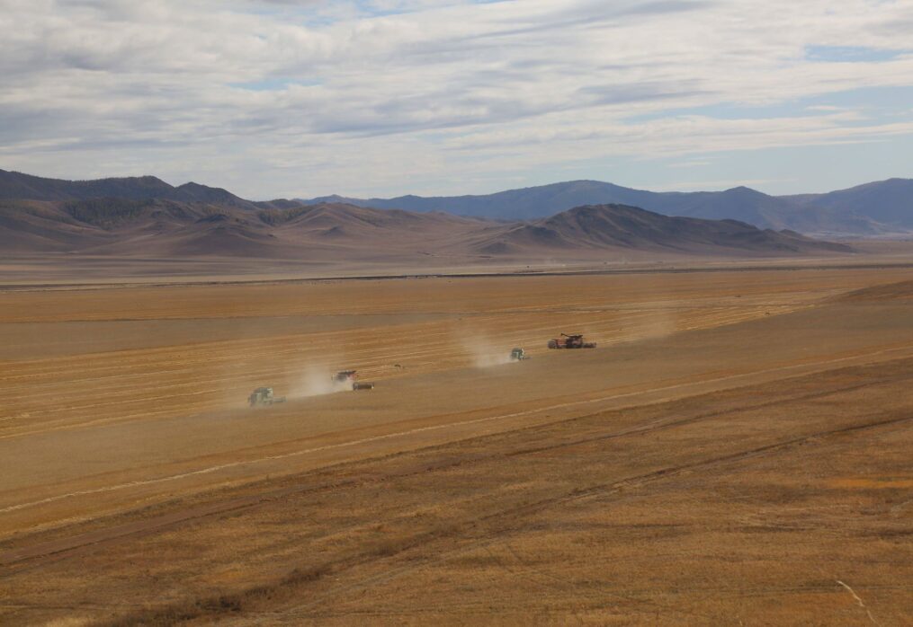ЗАРЛАЛ Компанийн тухай хуулийн 77, 79 дүгээр зүйл, Компанийн дүрмийн 7.21-7.28 дахь хэсгийг үндэслэн “Хөвсгөл алтан дуулга” ХК-ийн Төлөөлөн удирдах зөвлөлийн ердийн болон хараат гишүүнд нэр дэвшигчдийг сонгон шалгаруулалтад урьж байна.