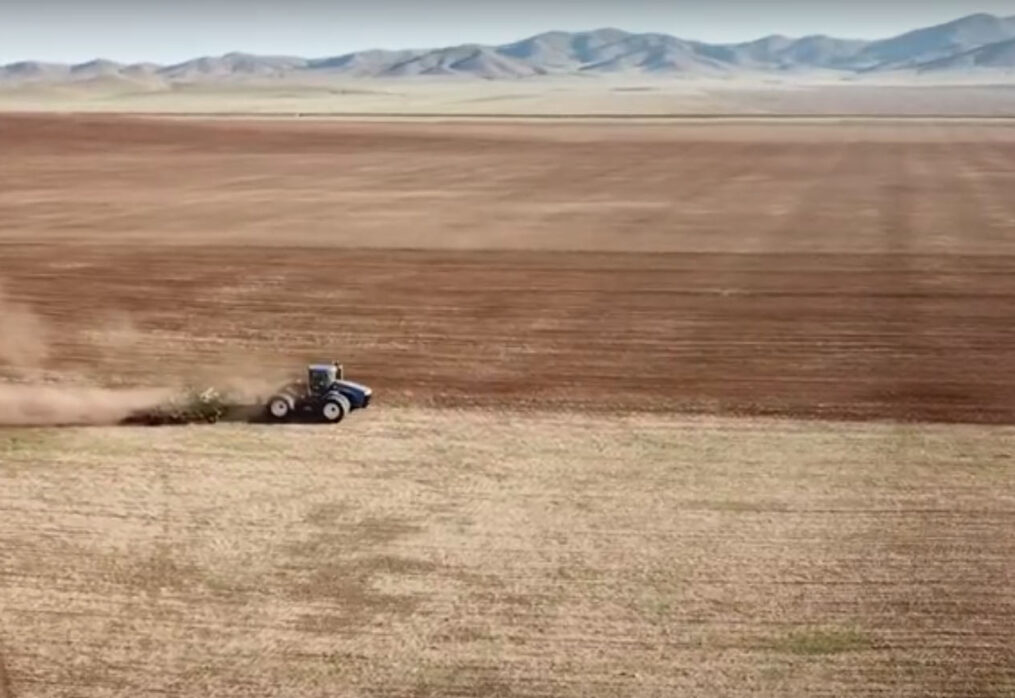 Алтан намар