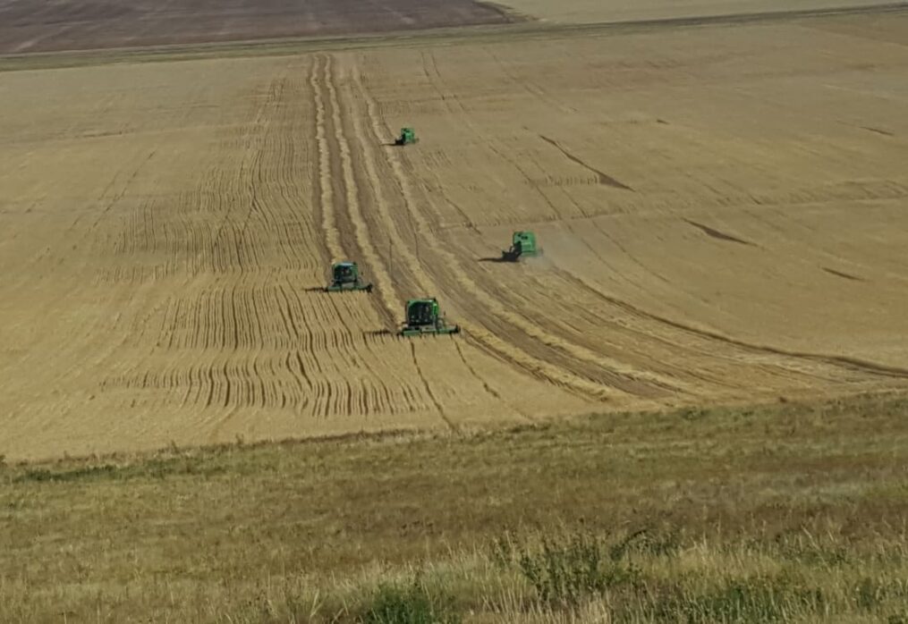 Намрын ургац хураалт 50%-тай явж байна.