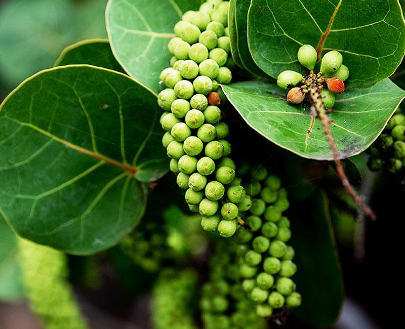 Хувьцаа эзэмшигчдийн ээлжит хурал 2021 оны 4 сарын 16 ны цагт УБ хотод болно