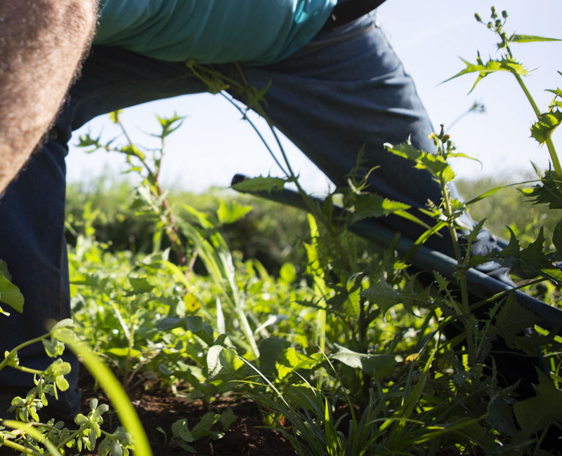 Хурдан хүлгийн эзэд тодорлоо