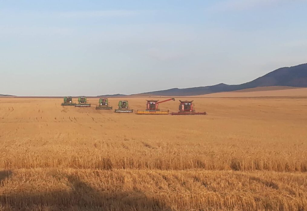 Газар тариалан 2020